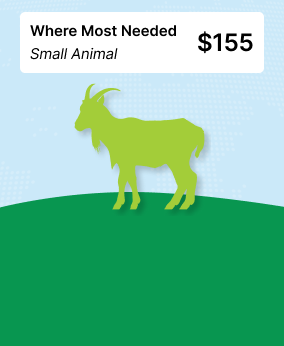 Qurban to Where Most Needed (Full Goat/Sheep) 